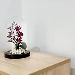 Seaside 2br Апартаменты *